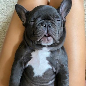 Meet your Posher, Jason